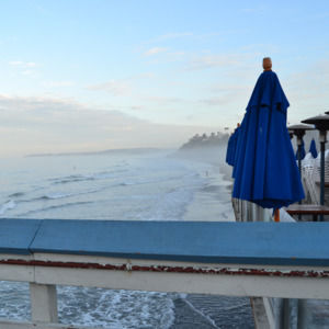 Meet your Posher, Sonali